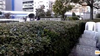 日本无码黄人妻一区二区约吊带白裙高端外围 舔屌口交展示口活 掰穴正入抽插猛操 扶着屁股一下下撞击- 亚洲AV成人无码网站18禁在线播放 -